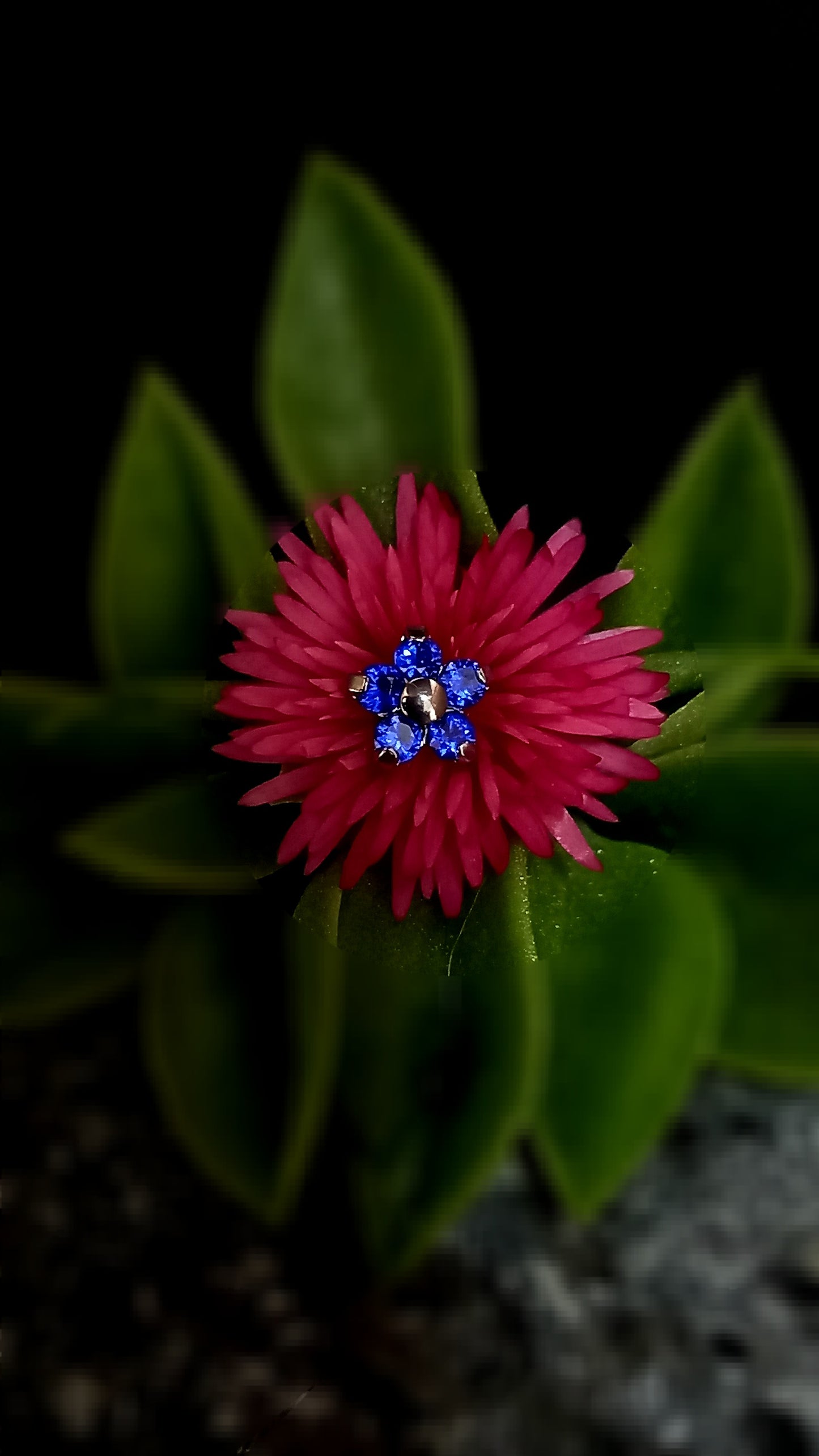 Titanio grado implante. Flor 5 petalos Azul