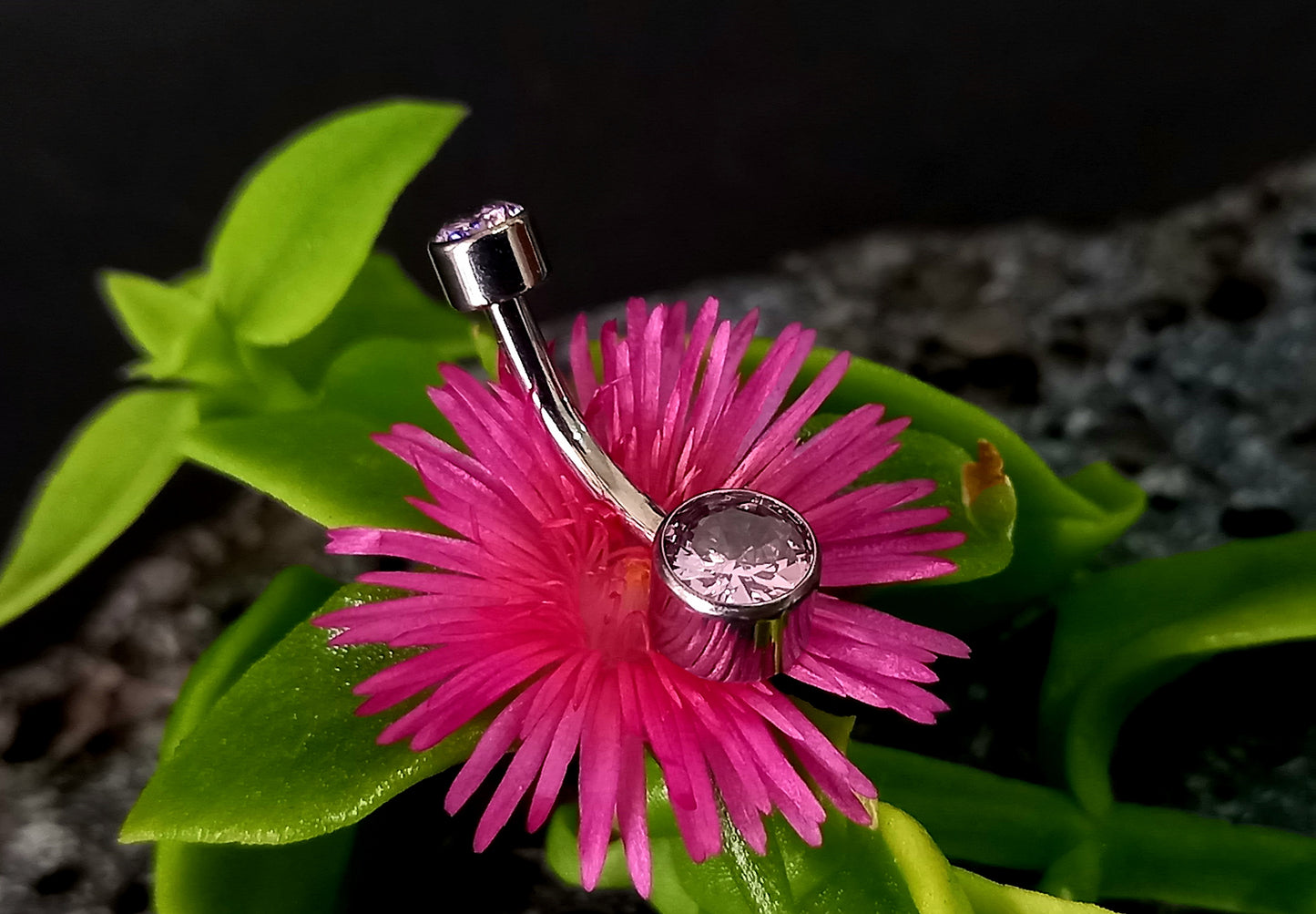 Titanio grado implante. Navel Cz Rosa