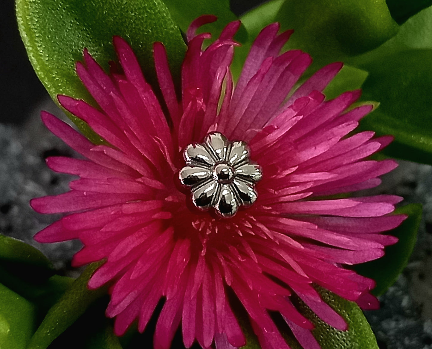 Titanio grado implante. Flor de 8 pétalos