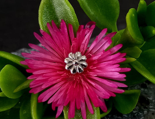 Titanio grado implante. Flor de 8 pétalos