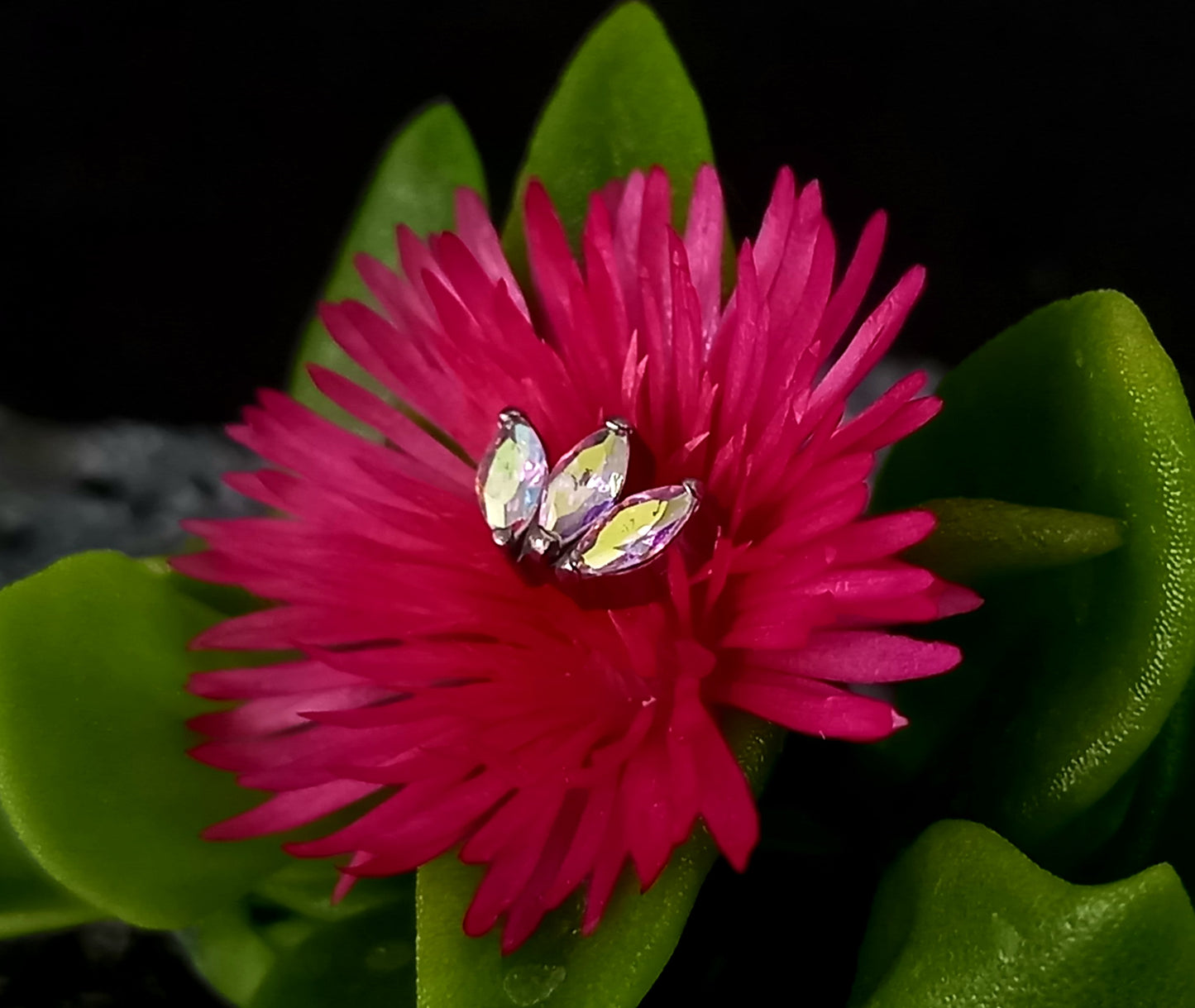 Titanio grado implante. Marquesa Aurora boreal