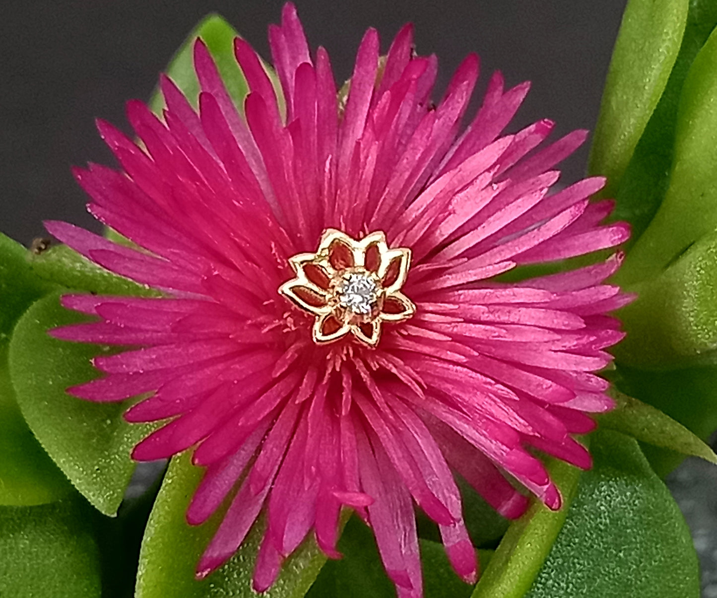 Oro 14k. Flor de loto 1