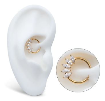 Titanio grado implante. Clicker PVD Oro 24kt con marquesa clear