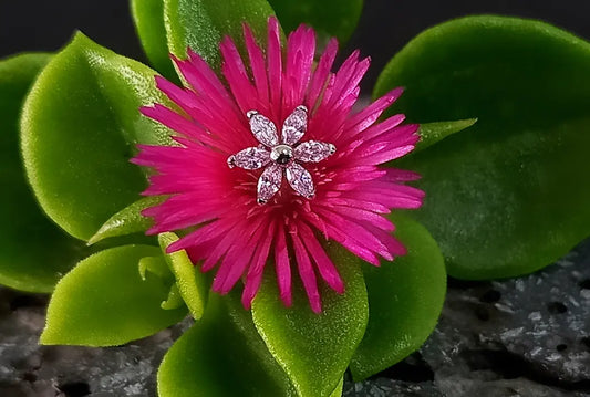 Titanio grado implante. Flor Cz rosa