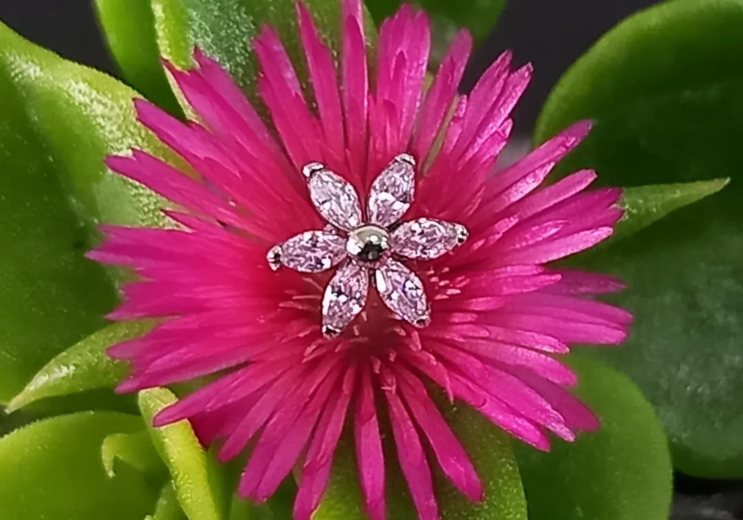 Titanio grado implante. Flor Cz rosa